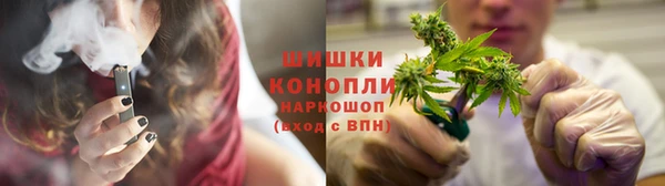 стаф Балахна