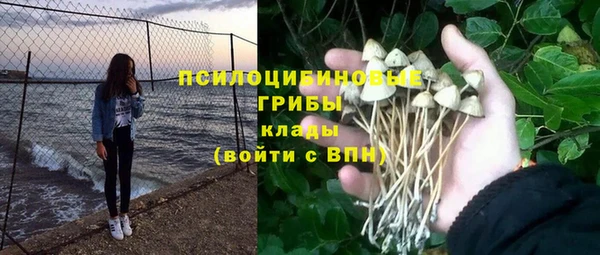 стаф Балахна