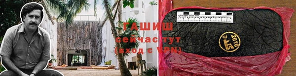 стаф Балахна