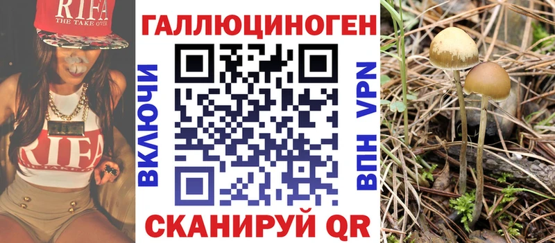 Псилоцибиновые грибы MAGIC MUSHROOMS  mega зеркало  Гатчина 