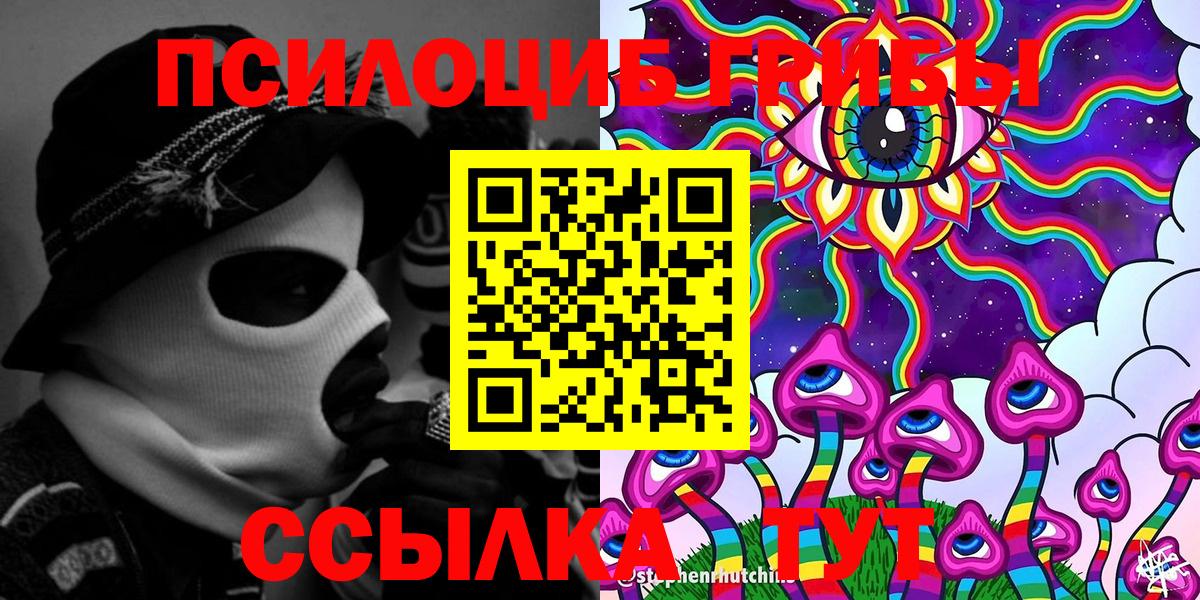 что такое   Псилоцибиновые грибы Psilocybine cubensis  Гатчина  Вход с VPN  Псилоцибиновые грибы Cubensis 