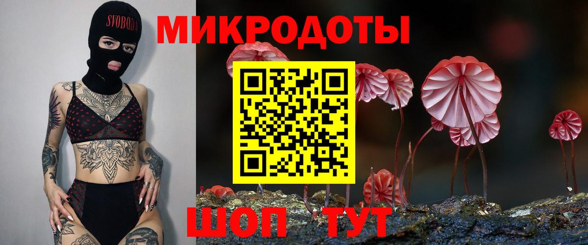 Псилоцибиновые грибы GOLDEN TEACHER Гатчина