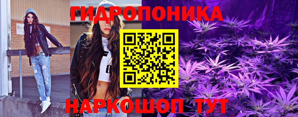 Канабис планчик  Вход с VPN  Канабис THC 21%  Канабис SATIVA & INDICA  МАРИХУАНА OG Kush  Гатчина 